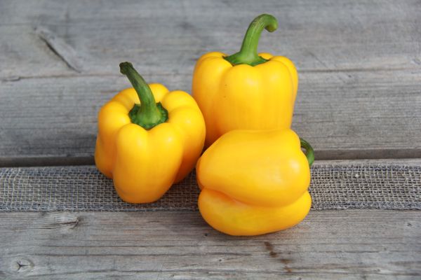 Peperoni gelb 